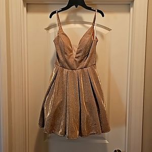 Glitter Mesh Skater Dress